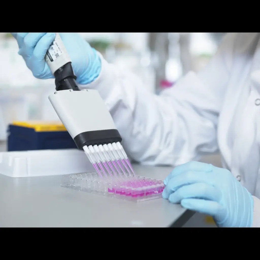 Bovine CSH1 / Chorionic somatomammotropin hormone 1 ELISA Kit