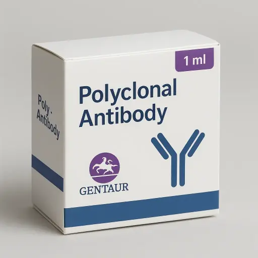 14-3-3 beta/alpha Polyclonal Antibody