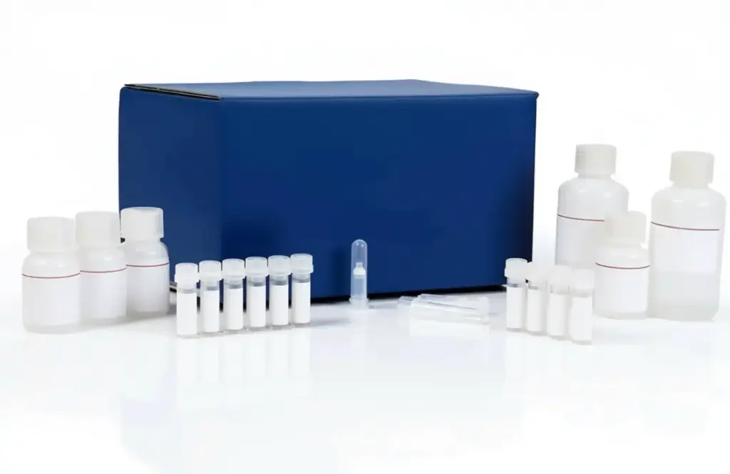 APOPCYTO Caspase-3 Colorimetric Assay Kit