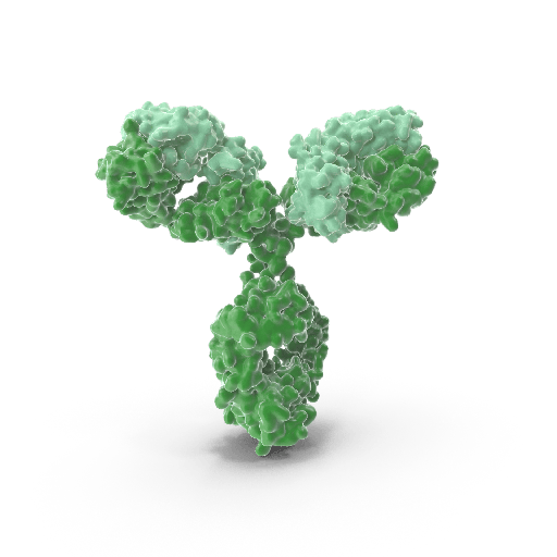 [WG-GB112361-LG] Anti-Macrophase Inflammation Protein 1 gamma Rabbit Polyclonal Antibody - 100 μL