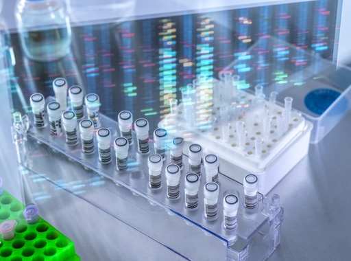 [GEN-BXH1012-kr] pMEV2HA-MST2-K56R