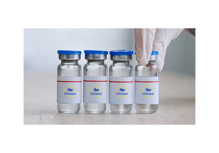 [GEN-VHPV003-1mg] HPV 6