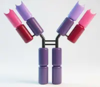 [BOC-2005-04] IgG Antibody 