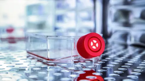 [BOC-0743-12] Mouse Peripheral Blood Mononuclear Complete Cell Culture Media w